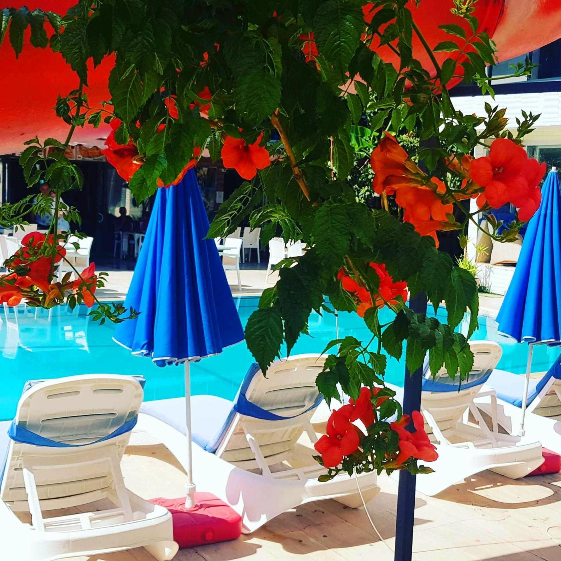 Alis Hotel فتحية المظهر الخارجي الصورة